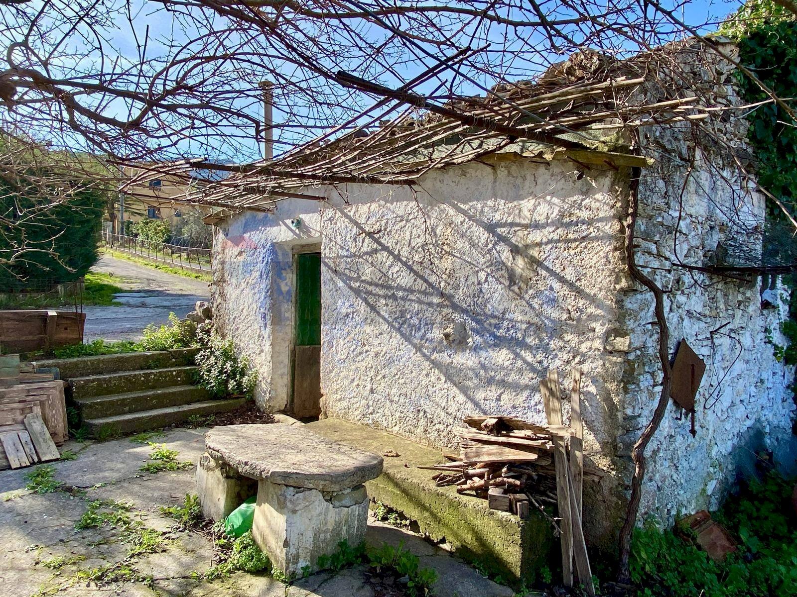 Casa all\'aperto - Rustic via olimpia frangipani ricciardi
11, Palermo - photo 2