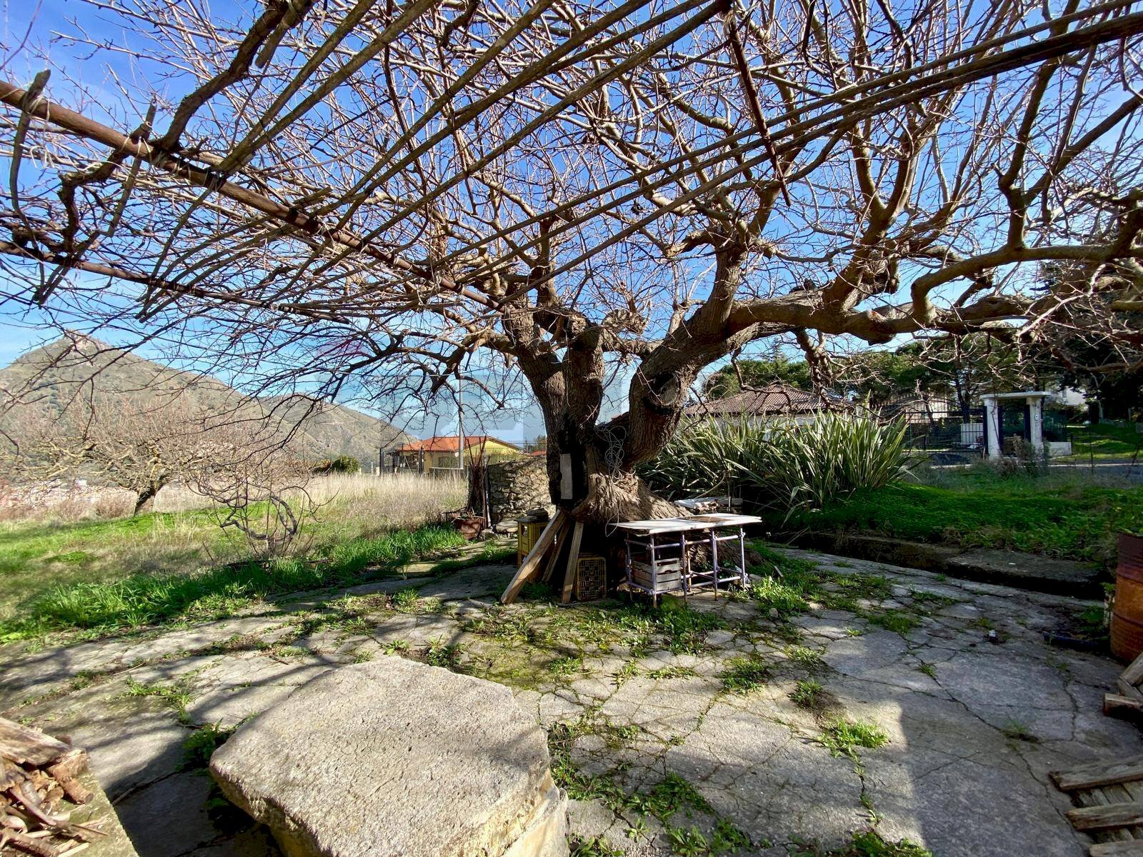 Giardino - Rustico via olimpia frangipani ricciardi
 
11, Monreale - foto 3