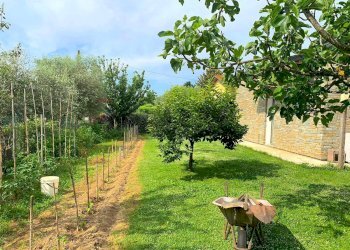 Giardino - Villa Montignoso - foto 16