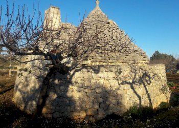 Vista delle montagne - Baita Strada Provinciale 191
 
16, Putignano - foto 1