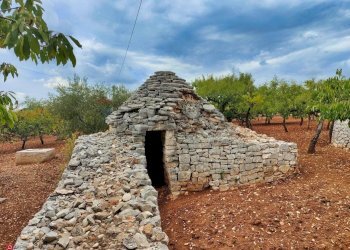 Vista dell\'acqua - Baita Strada Provinciale 191
 
16, Putignano - foto 12