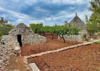 Giardino - Baita Strada Provinciale 191
 
16, Putignano - foto 13