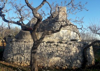 Vista delle montagne - Baita Strada Provinciale 191
 
16, Putignano - foto 15