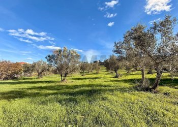Giardino - Terreno edificabile via fonte dell'abbazia, Montesilvano - foto 1