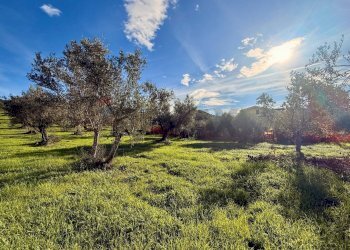 Giardino - Terreno edificabile via fonte dell'abbazia, Montesilvano - foto 2