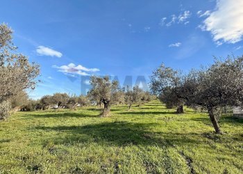 Giardino - Terreno edificabile via fonte dell'abbazia, Montesilvano - foto 5