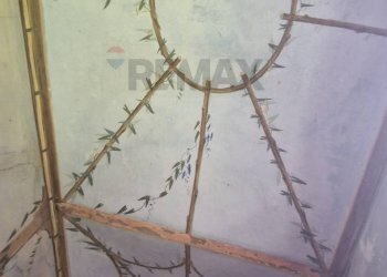 Dettagli - Villa via Vecchia di Valenza
 
13, Sale - foto 18