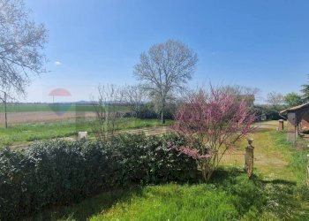 Giardino - Villa via Vecchia di Valenza
 
13, Sale - foto 30