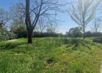 Giardino - Villa Via Strada Vecchia di Valenza
 
13, Sale - foto 17