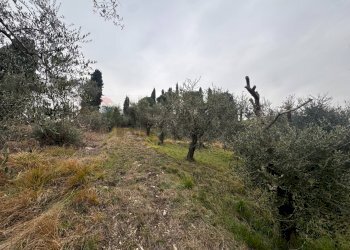 Giardino - Building land via Ganda, Cenate Sopra - photo 6