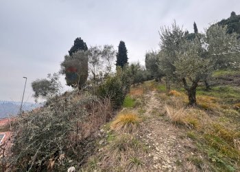 Non correlato - Building land via Ganda, Cenate Sopra - photo 10