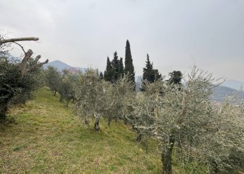 Non correlato - Building land via Ganda, Cenate Sopra - photo 11