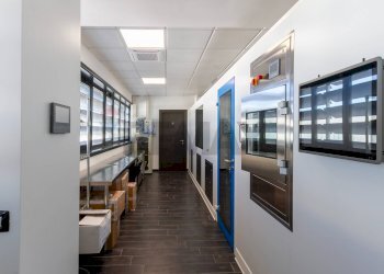 Hall / corridoio - Capannone Pozzo d'Adda - foto 10