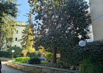 Zona - Appartamento via degli Scolopi, Roma - foto 23