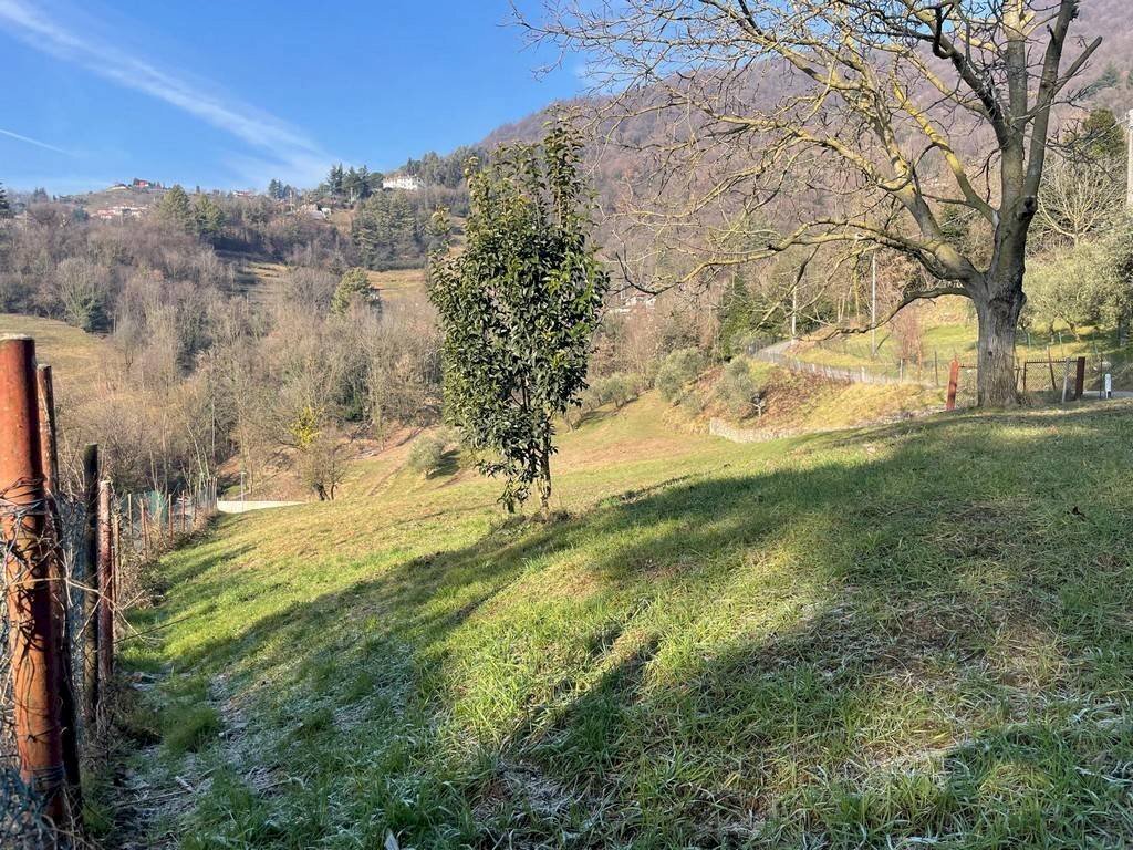 Terreno - Terreno edificabile via Forner, Cenate Sopra - foto 2