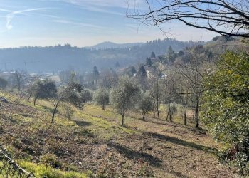 Terreno - Terreno edificabile via Forner, Cenate Sopra - foto 3