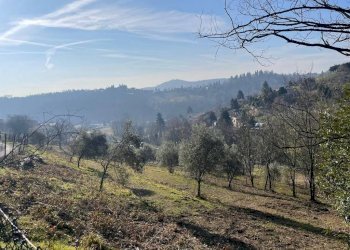 Terreno - Terreno edificabile via Forner, Cenate Sopra - foto 6