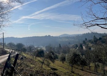 Terreno - Terreno edificabile via Forner, Cenate Sopra - foto 8