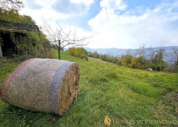 Terreno - Rustico Prunetto - foto 8
