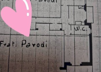 Planimetria - Two-room apartment via Bartolomeo Carrea, 4, Genova (neighborhood Sampierdarena) - photo 29