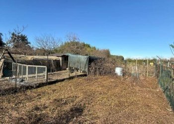 Terreno agricolo viale Lombardia, 15, Senago - foto 2