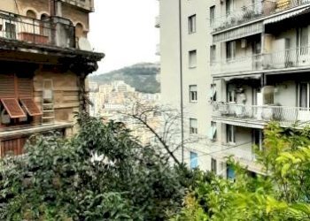 Zona - Three-room apartment via Antonio Burlando, 5A, Genova (neighborhood Staglieno) - photo 22