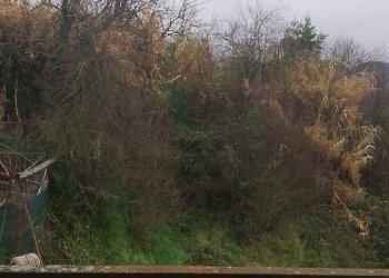 Foto 9 - Casa indipendente Regione Val San Ry, Spigno Monferrato - foto 9