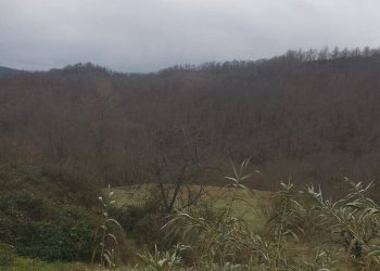 Foto 17 - Casa indipendente Regione Val San Ry, Spigno Monferrato - foto 17