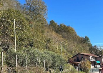 Vista delle montagne - Casa indipendente Carrodano - foto 53