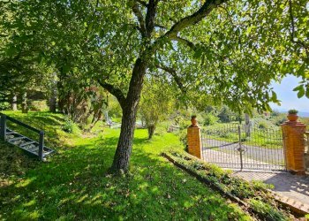 Giardino - Casa indipendente Località Bruscarolo, Calice al Cornoviglio - foto 7