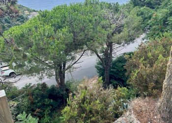 Vista dell\'acqua - Rustic Riomaggiore - photo 7