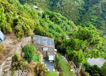 Giardino - Rustic Riomaggiore - photo 8