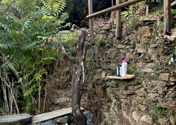 Giardino - Rustic Riomaggiore - photo 21