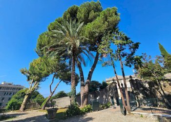 Giardino - Trilocale Via Sant'alberto
 
5, Genova - foto 8