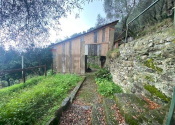 Giardino - Casa semi indipendente Via Castellaro
 
2, Zoagli - foto 15