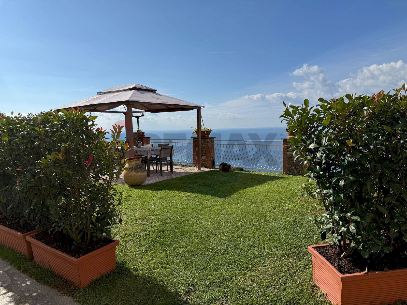 Giardino - Casa semi indipendente Recco - foto 3