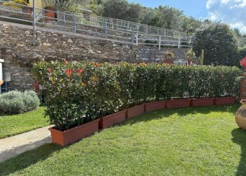 Giardino - Casa semi indipendente Recco - foto 9