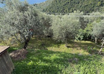 Vista delle montagne - Casa semi indipendente Recco - foto 19