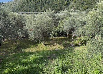 Giardino - Casa semi indipendente Recco - foto 23