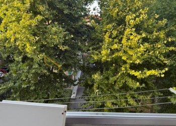 9.jpg - Monolocale Via Giacomo Dina, Torino (zona Mirafiori Nord) - foto 5