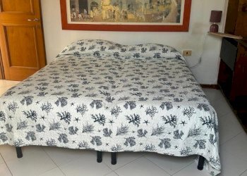 c571d59f-9344-4b97-bfa4-0e89790a6686.jpg - Independent house Via Pisanello, Ameglia - photo 8