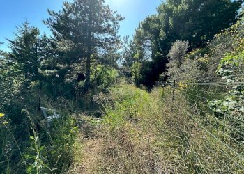 76829.jpg - Villa Via Pianaccia, Fosdinovo - foto 25