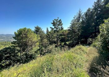 76830.jpg - Villa Via Pianaccia, Fosdinovo - foto 26