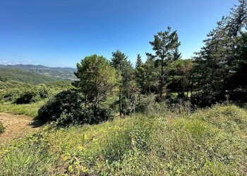 76831.jpg - Villa Via Pianaccia, Fosdinovo - foto 27