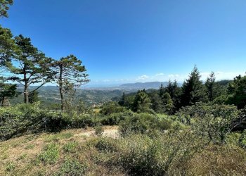 76838.jpg - Villa Via Pianaccia, Fosdinovo - foto 29