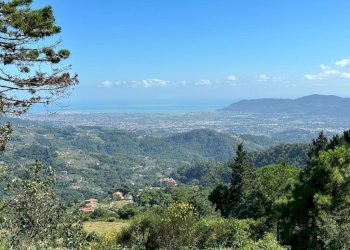 76839.jpg - Villa Via Pianaccia, Fosdinovo - foto 30