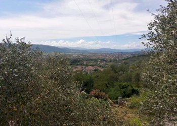 lu5.jpg - Porzione di casa Luni - foto 5