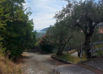 lu6.jpg - Porzione di casa Luni - foto 6