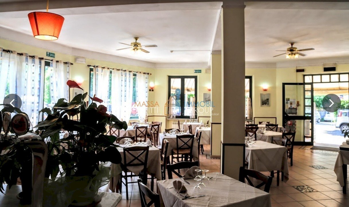 WhatsApp Image 2026-01-23 at 10.58.27 (4).jpeg - Ristorante Via Sottomonte 6, Massa - foto 2