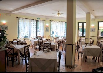 WhatsApp Image 2026-01-23 at 10.58.27 (3).jpeg - Ristorante Via Sottomonte 6, Massa - foto 4